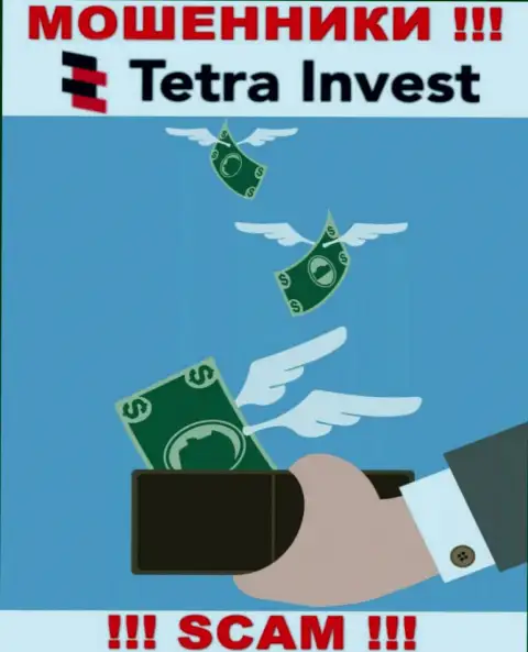 Если ожидаете прибыль от совместного сотрудничества с дилинговой организацией Tetra Invest, то не дождетесь, данные интернет мошенники обуют и Вас