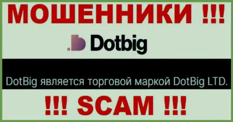 Dot Big - юридическое лицо internet-разводил контора DotBig LTD