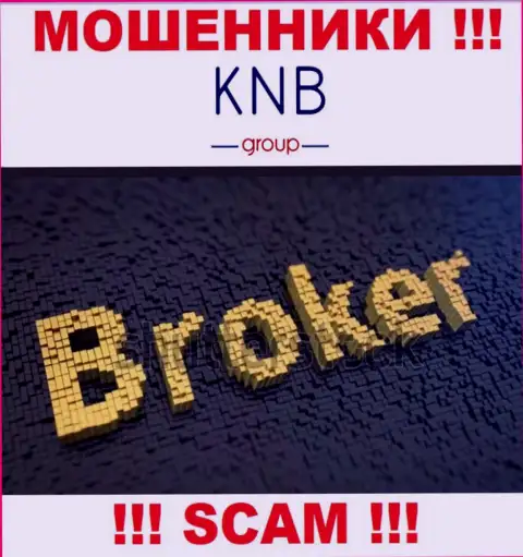 Направление деятельности неправомерно действующей организации KNB Group Limited - это Брокер