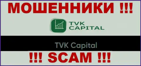 TVK Capital - это юридическое лицо internet ворюг TVKCapital Com