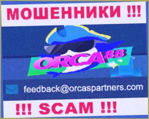 Кидалы Orca88 указали этот электронный адрес у себя на сайте