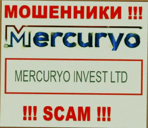 Юридическое лицо Меркурио - Меркурио Инвест Лтд, такую информацию показали воры у себя на интернет-портале