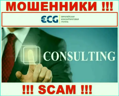 Consulting - это сфера деятельности незаконно действующей компании ECG