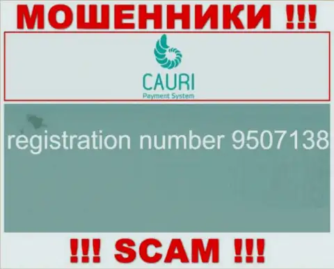 Номер регистрации, который принадлежит жульнической компании Каури Ком - 9507138