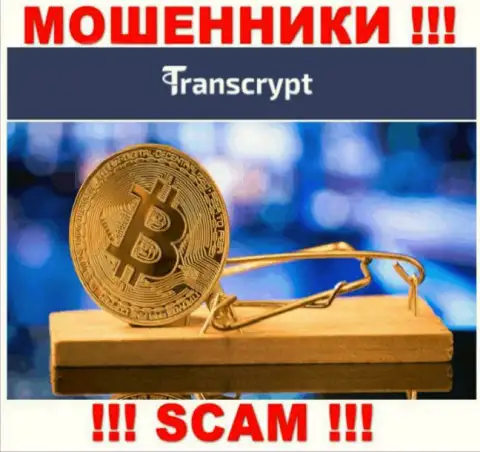 Не угодите в грязные лапы internet-мошенников TransCrypt, не перечисляйте дополнительные денежные активы