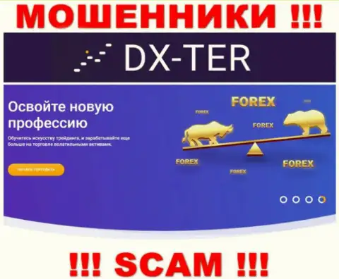 С компанией DX Ter совместно сотрудничать опасно, их тип деятельности Forex - это разводняк