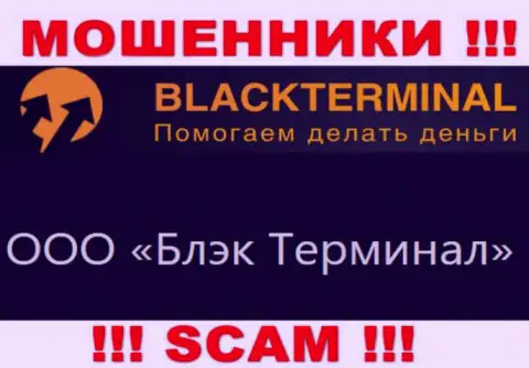 На официальном интернет-сервисе BlackTerminal указано, что юридическое лицо организации - ООО Блэк Терминал