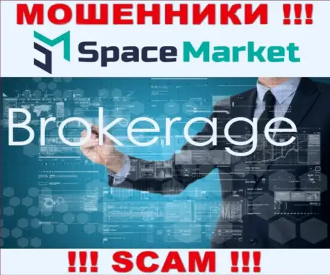 Направление деятельности мошеннической конторы Space Market - это Брокер