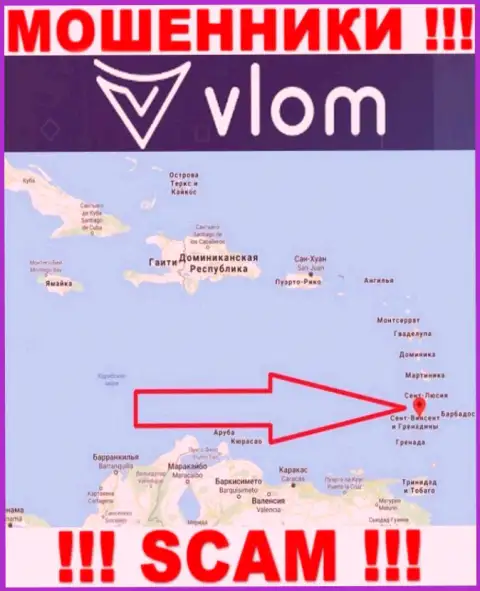 Контора Vlom Com - это интернет махинаторы, базируются на территории Saint Vincent and the Grenadines, а это оффшорная зона