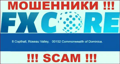 Изучив веб-ресурс FXCore Trade можете увидеть, что расположены они в офшоре: 8 Copthall, Roseau Valley, 00152 Commonwealth of Dominica - это МОШЕННИКИ !!!