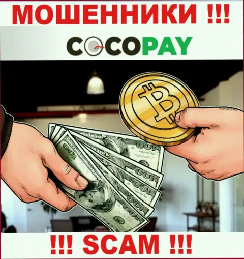 Не нужно доверять вклады Coco-Pay Com, поскольку их область работы, Обменка, разводняк