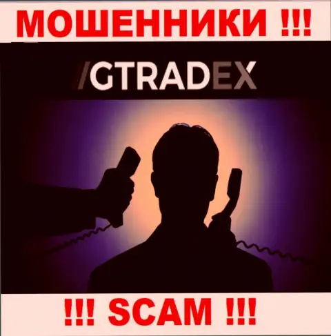 Информации о прямом руководстве мошенников GTradex Net во всемирной сети internet не найдено