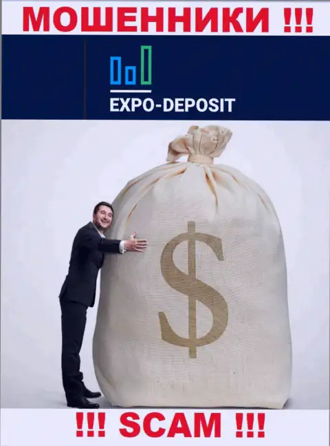 Невозможно вывести вклады с компании Expo-Depo Com, именно поэтому ни гроша дополнительно заводить не нужно