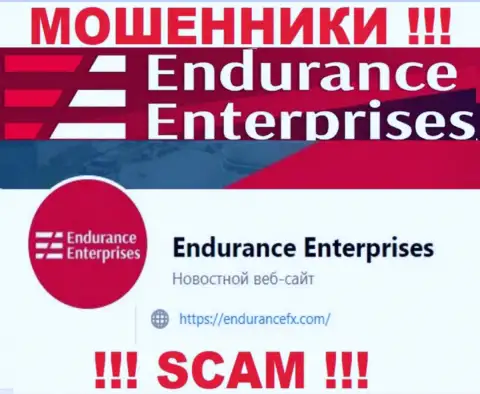 Связаться с интернет-мошенниками из организации Endurance FX Вы сможете, если отправите письмо им на e-mail