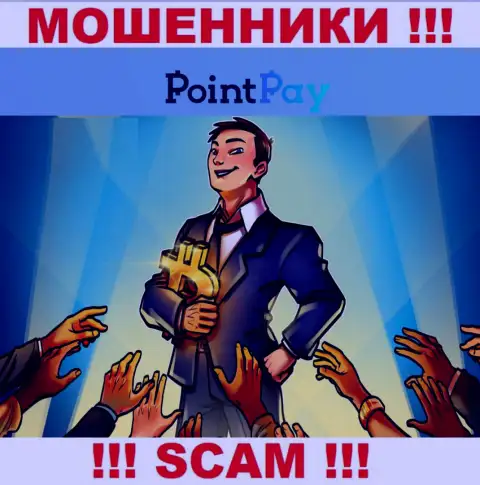 Point Pay - это РАЗВОДНЯК !!! Заманивают лохов, а после прикарманивают их финансовые средства