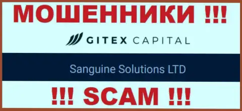 Юр. лицо Gitex Capital - это Sanguine Solutions LTD, именно такую инфу представили мошенники у себя на сайте