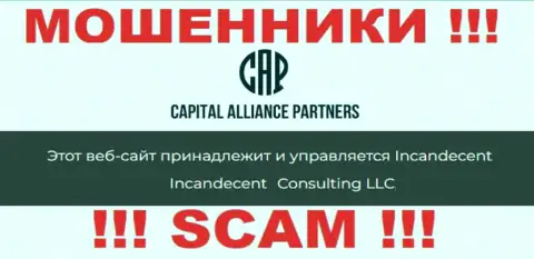 Юридическим лицом, управляющим internet-мошенниками CapitalAlliancePartners, является Consulting LLC