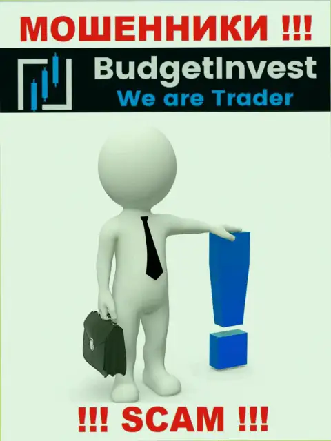 BudgetInvest - это internet-мошенники !!! Не говорят, кто конкретно ими руководит