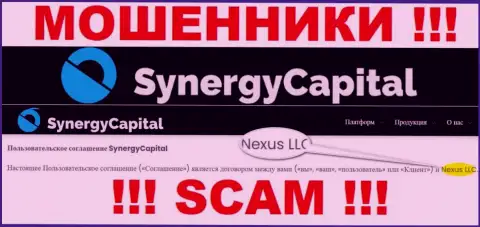 Юридическое лицо, которое владеет мошенниками SynergyCapital - это Нексус ЛЛК