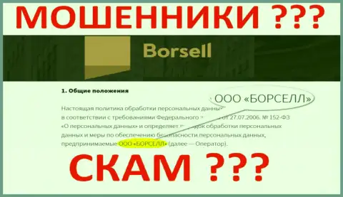 ООО БОРСЕЛЛ это компания, которая руководит internet-мошенниками Борселл