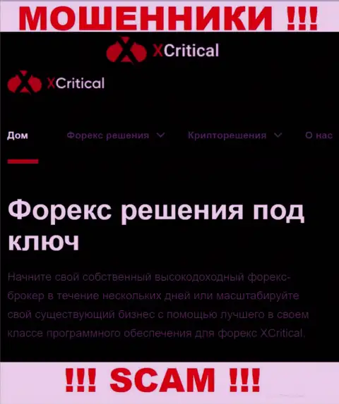 X Critical - это подозрительная компания, направление работы которой - ФОРЕКС