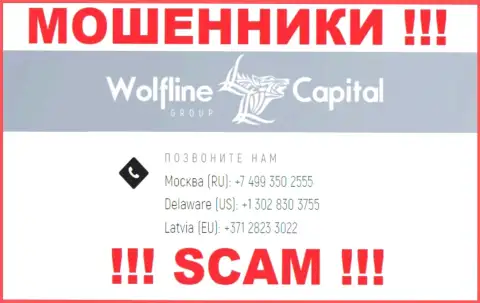 Будьте внимательны, вдруг если звонят с неизвестных номеров, это могут быть жулики Wolfline Capital