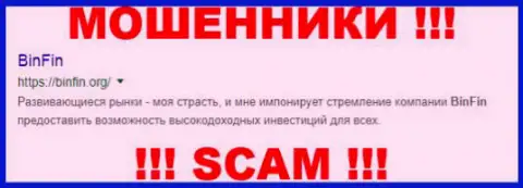 BinFin Org - это ФОРЕКС КУХНЯ !!! SCAM !!!