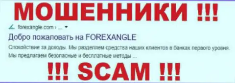 ForexAngle Ltd - это МОШЕННИКИ !!! SCAM !!!